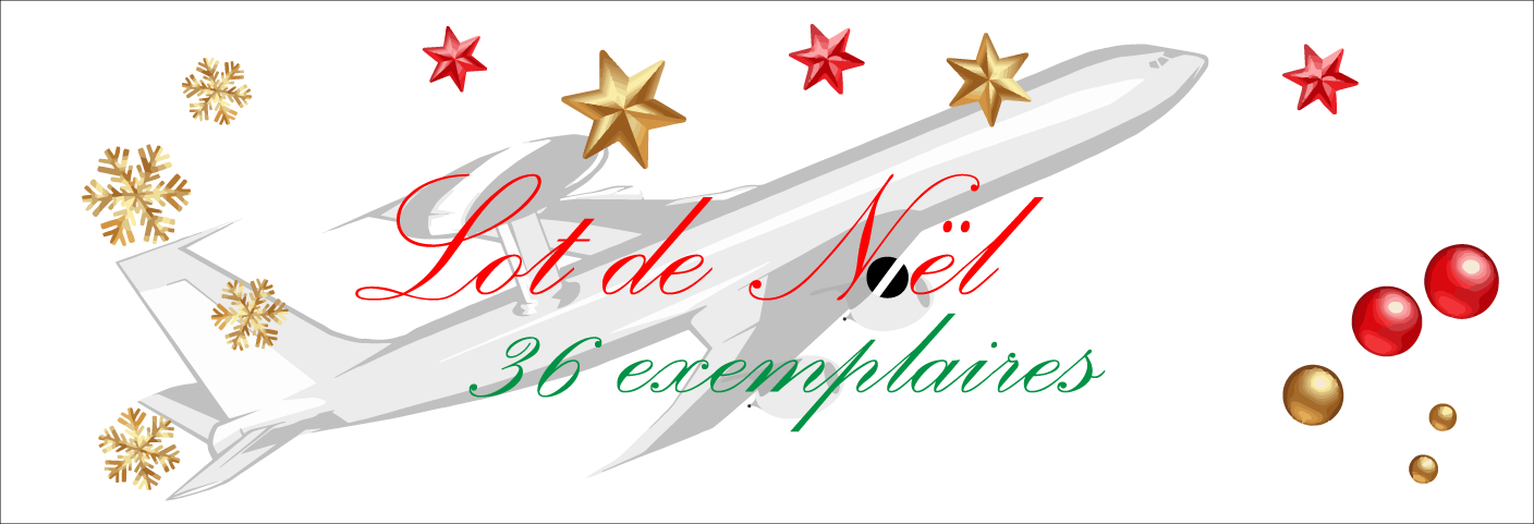 Affiche avec des décorations de Noël avec pour texte "Lot de Noël - 36 exemplaires" sur fond d'AWACS E3F